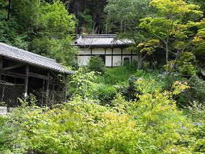 s-20120717 kuwanomidera (13).jpg